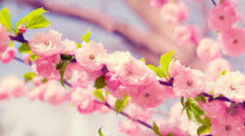 Timeline: Mi linea del tiempo