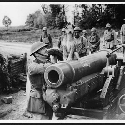 Timeline: World War 1