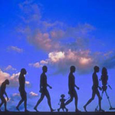 Timeline: Evolución del principio administrativo