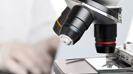 Timeline: Historia De La Microscopia