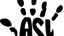 Timeline: 4.3c "Language"