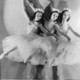 Ballet russe de monte carlo nutcracker 1940