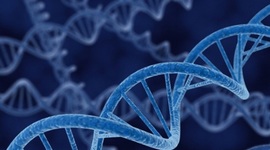 Timeline: Cientificos Ácidos nucleicos