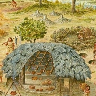 Timeline: Historia del hombre