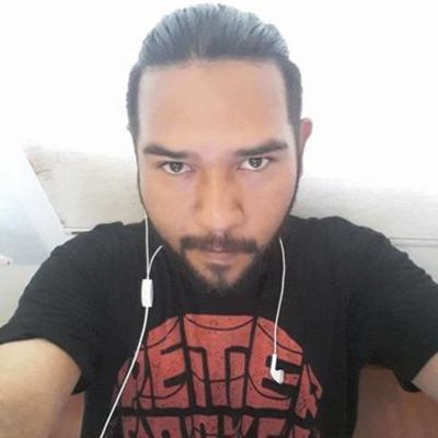 Timeline: Future Plans