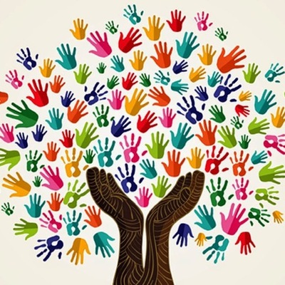 Timeline: Linea del tiempo de la evolución del sistema nervioso