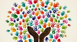 Timeline: Linea del tiempo de la evolución del sistema nervioso