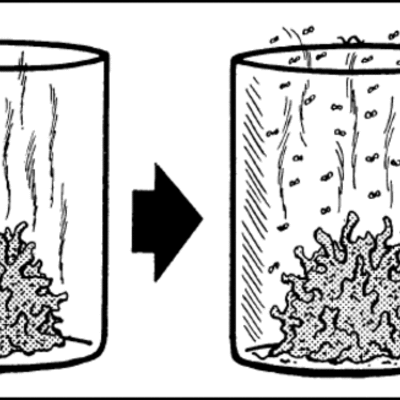 Timeline: The History of Spontaneous Generation