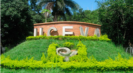 Timeline: Linea Tiempo: Historia de la UCEVA