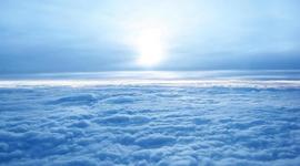 Timeline: EVOLUCIÓN DEL SISTEMA NERVIOSO