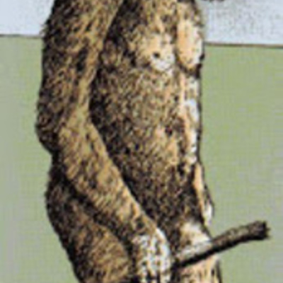 Timeline: Prehistoria