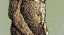 Timeline: Prehistoria