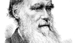 Timeline: La primera transformación