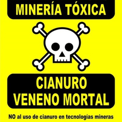 Timeline: Linea Del Tiempo - Evolución del sistema nervioso