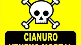 Timeline: Linea Del Tiempo - Evolución del sistema nervioso