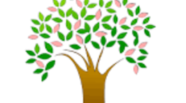 Timeline: Personal Timeline