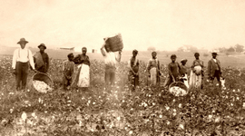 Timeline: Slavery 1619-1865