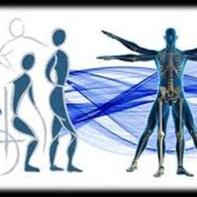 Timeline: Evolución de la Fisioterapia