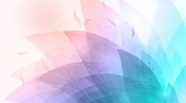 Timeline: Creación Y Evolución