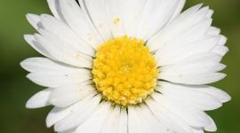 Timeline: End of the Century