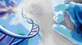 Timeline: historia de la bioetica