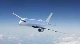 Timeline: L' història de l'avio