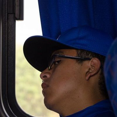 Timeline: Linea de vida