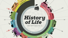 Timeline: History of life