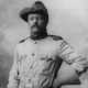 12 teddy roosevelt quotes on courage leadership and success