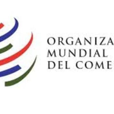 Timeline: ORGANIZACIÓN MUNDIAL DEL COMERCIO (OMC)