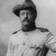 Teddy roosevelt rough rider lg