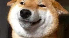 Timeline: History of dogs from 1850-1880