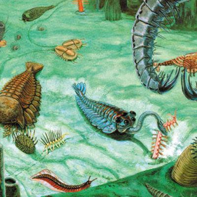 Timeline: Cambrian period