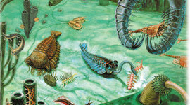 Timeline: Cambrian period