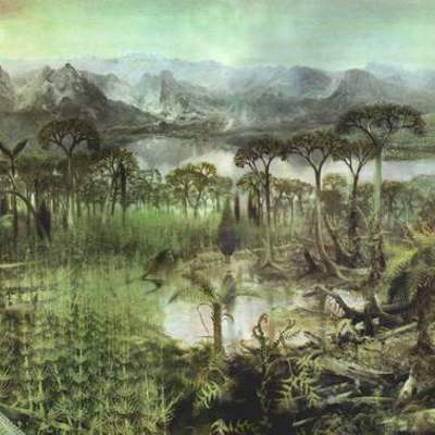 Timeline: Carboniferous period