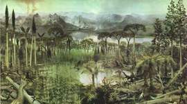 Timeline: Carboniferous period