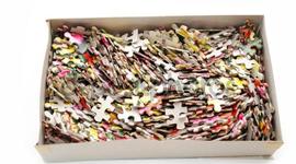 Timeline: Proceso de proyecto de investigación.