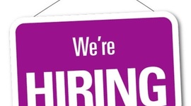 Timeline: Biografía del Curriculum Vitae