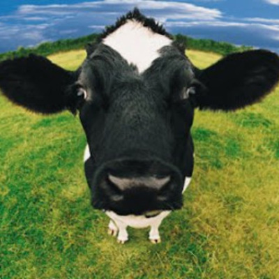 Timeline: Historia del conocimiento