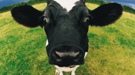 Timeline: Historia del conocimiento