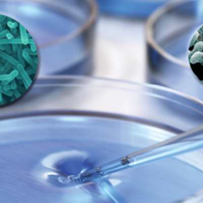 Timeline: Aportes a la Microbiologia