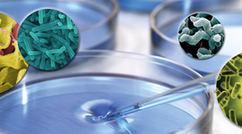 Timeline: Aportes a la Microbiologia