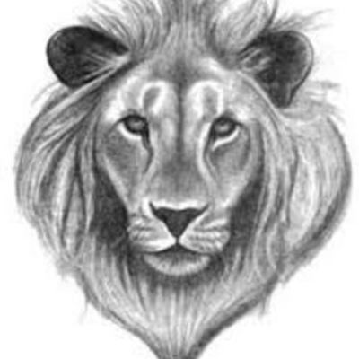 Timeline: The Lion, the Witch & the Wardrobe