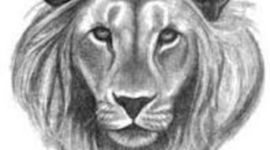 Timeline: The Lion, the Witch & the Wardrobe