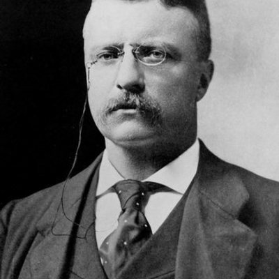 Timeline: Theodore Roosevelt. (By: Andrea A.)