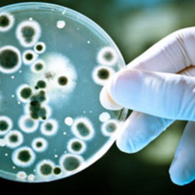 Timeline: Quimico Bacteriologo Parasitologo Timeline