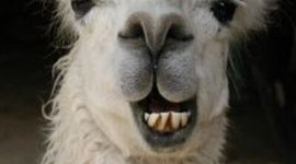 Timeline: 5year timeline