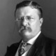 President roosevelt   pach bros.tif