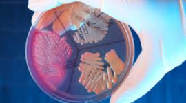 Timeline: Linea del Tiempo Relacionada a mi Carrera (Contexto Social de la Profesion, grupo 242)