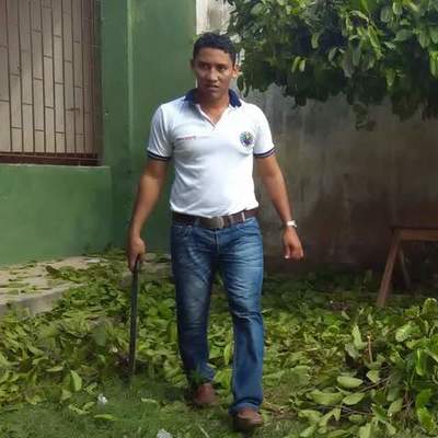 Timeline: Proyecto Ambiental Sembremos vida